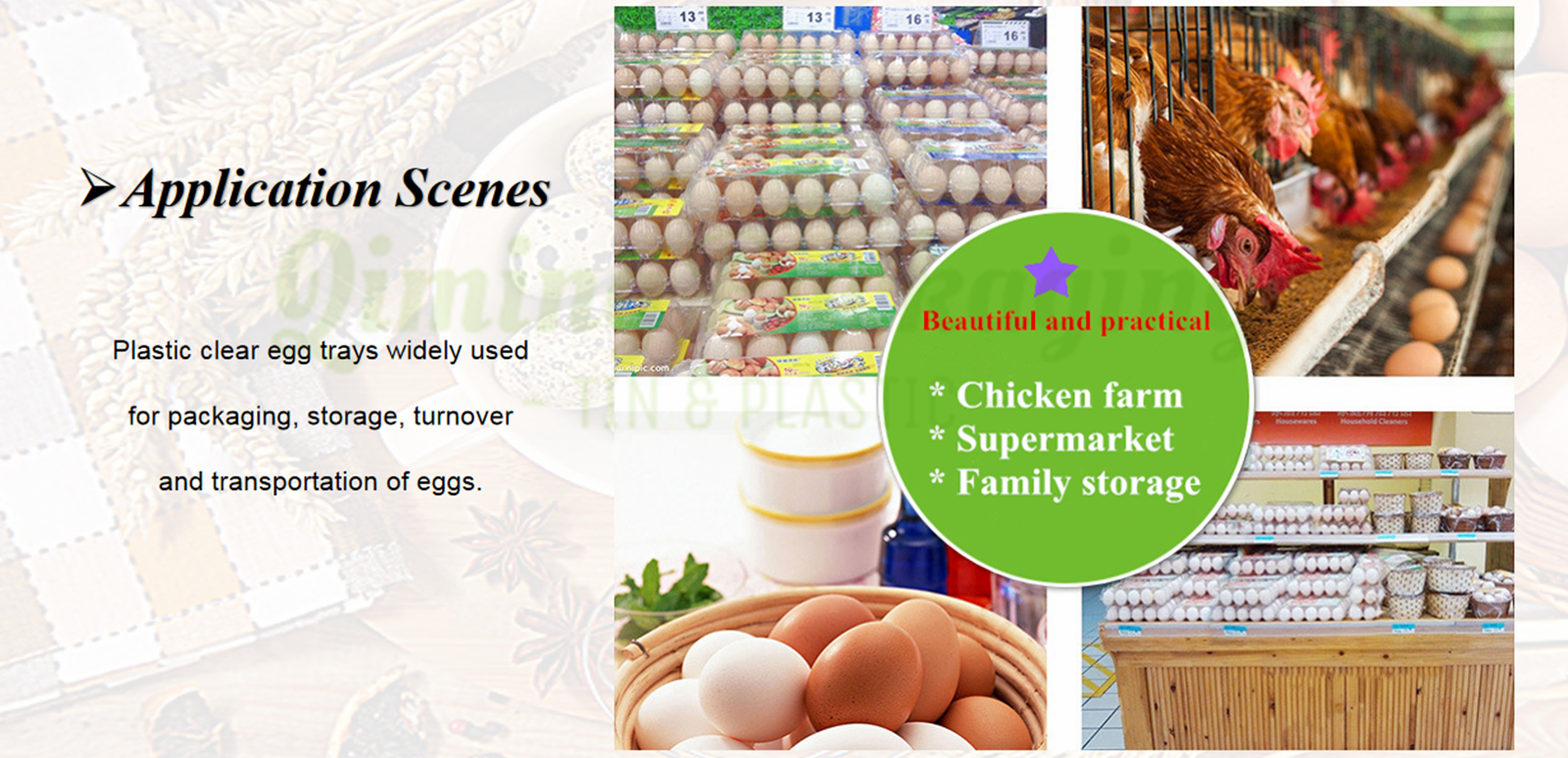 plastic egg cartons plastic egg cartons