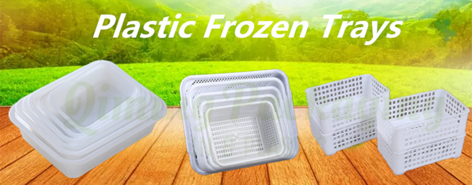 plastic frozen trays