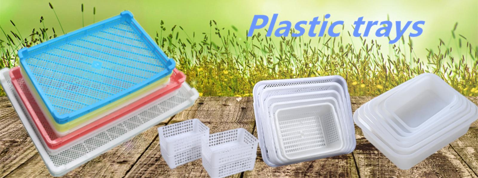 plastic trays