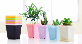 Square Plastic Flower Buckets