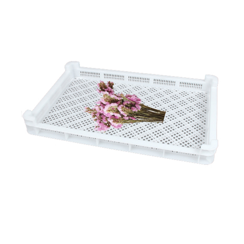 manufacturer plastic drying tray freezing tray for flowers meat seafood capsule softgel