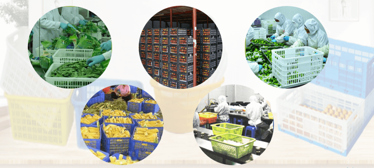 plastic folding crates plastic folding crates