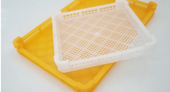 What Everybody Ought To Know About Plastic Tray