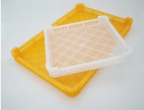 What Everybody Ought To Know About Plastic Tray
