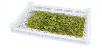 How To Get Suitable Plastic Drying Trays