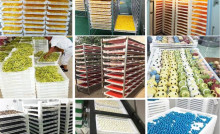 plastic trays